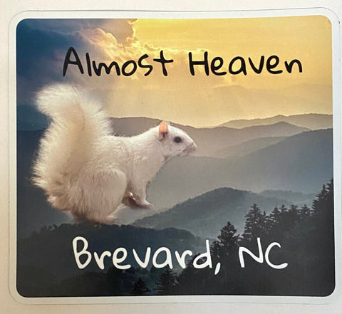 Magnet - White Squirrel Photo with "Almost Heaven, Brevard, NC"