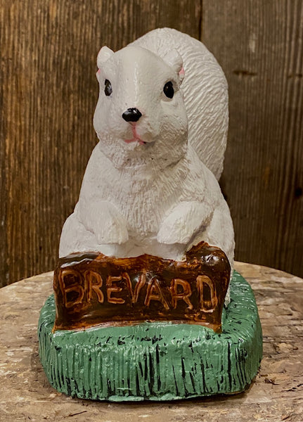 Concrete Garden Statuary - White Garden Squirrel with Brevard Sign