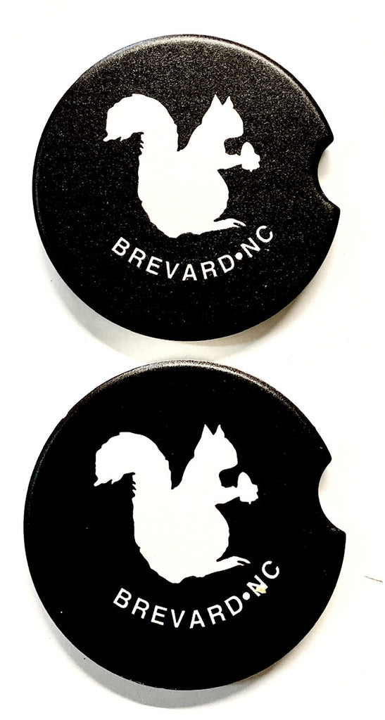 Car Coaster - Two-Pack Ceramic Absorbent Car Coasters with White Squirrel - Brevard, NC Design