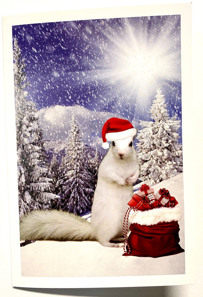 White Squirrel Christmas.          Cards - 2022 Edition - Boxed Sets of 10 or 25 Cards with Envelopes