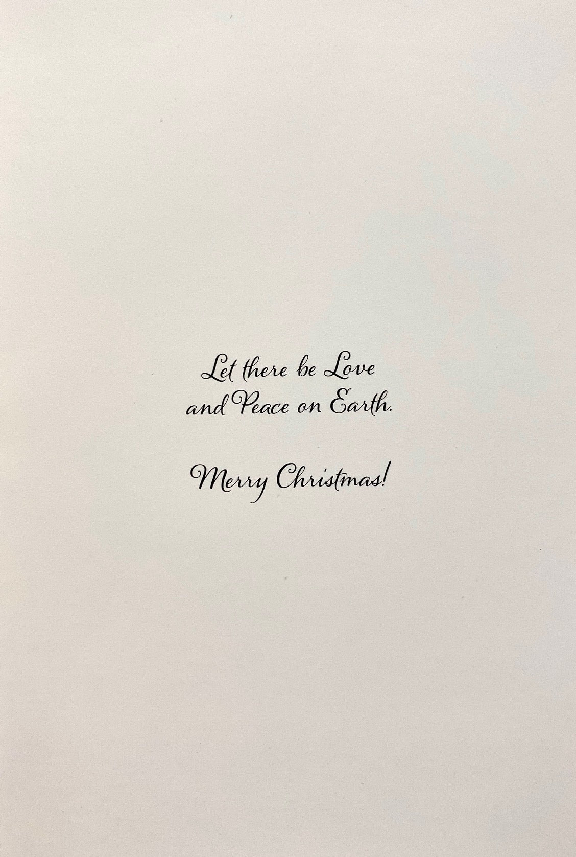 Notecards - White Squirrel Christmas 2024 with Envelope
