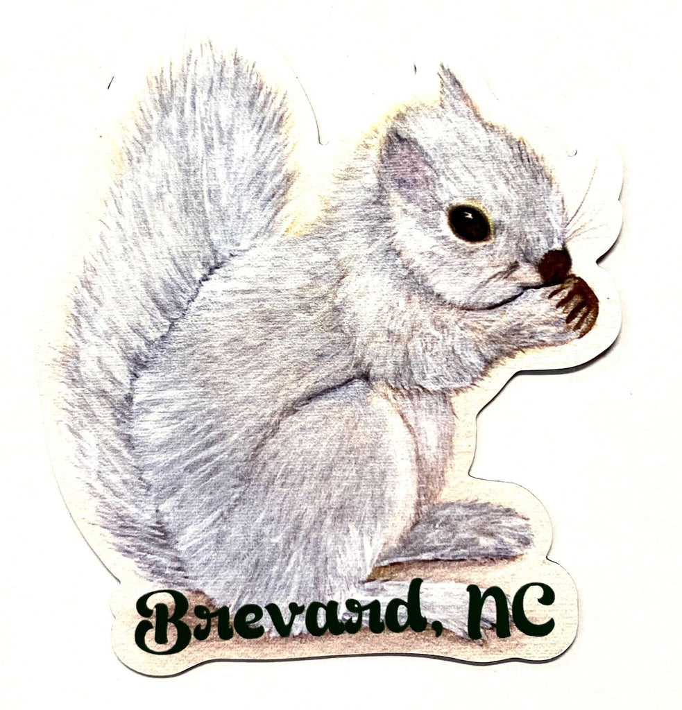 Magnet - Die-Cut White Squirrel Painting with Brevard, NC>