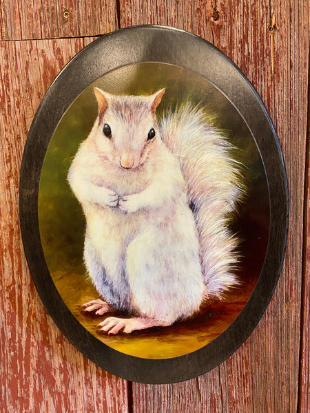 Wall Plaque - White Squirrel Art Print by Lydia Steeves - 14" x 10" Wood Oval