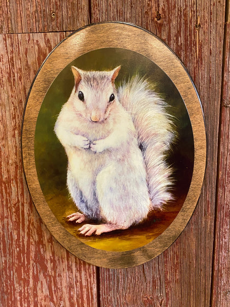 Wall Plaque - White Squirrel Art Print by Lydia Steeves - 14" x 10" Wood Oval