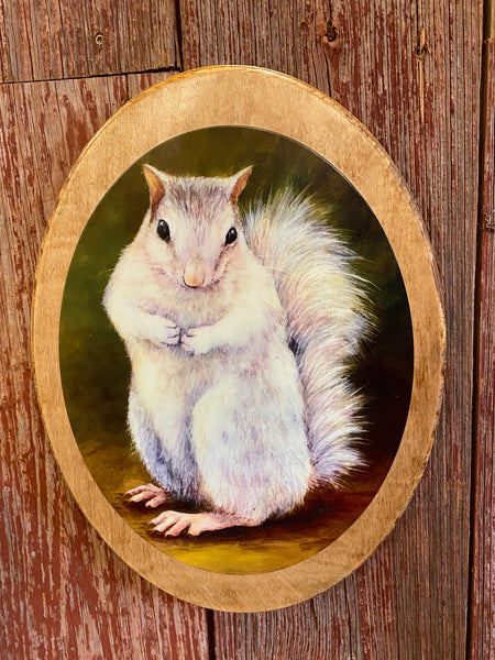 Wall Plaque - White Squirrel Art Print by Lydia Steeves - 14" x 10" Wood Oval