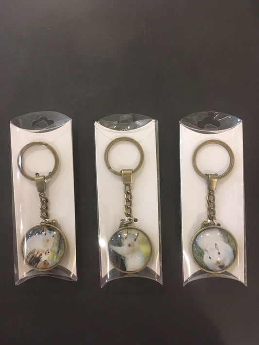 Custom white squirrel brass and glass key chains. Choose your favorite one. 