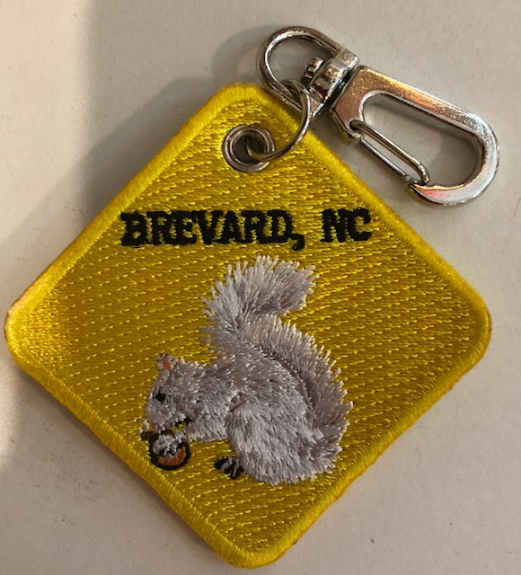 Yellow Key Clip, back side of the Rock Climbing Zone depicting our beloved white squirrel.