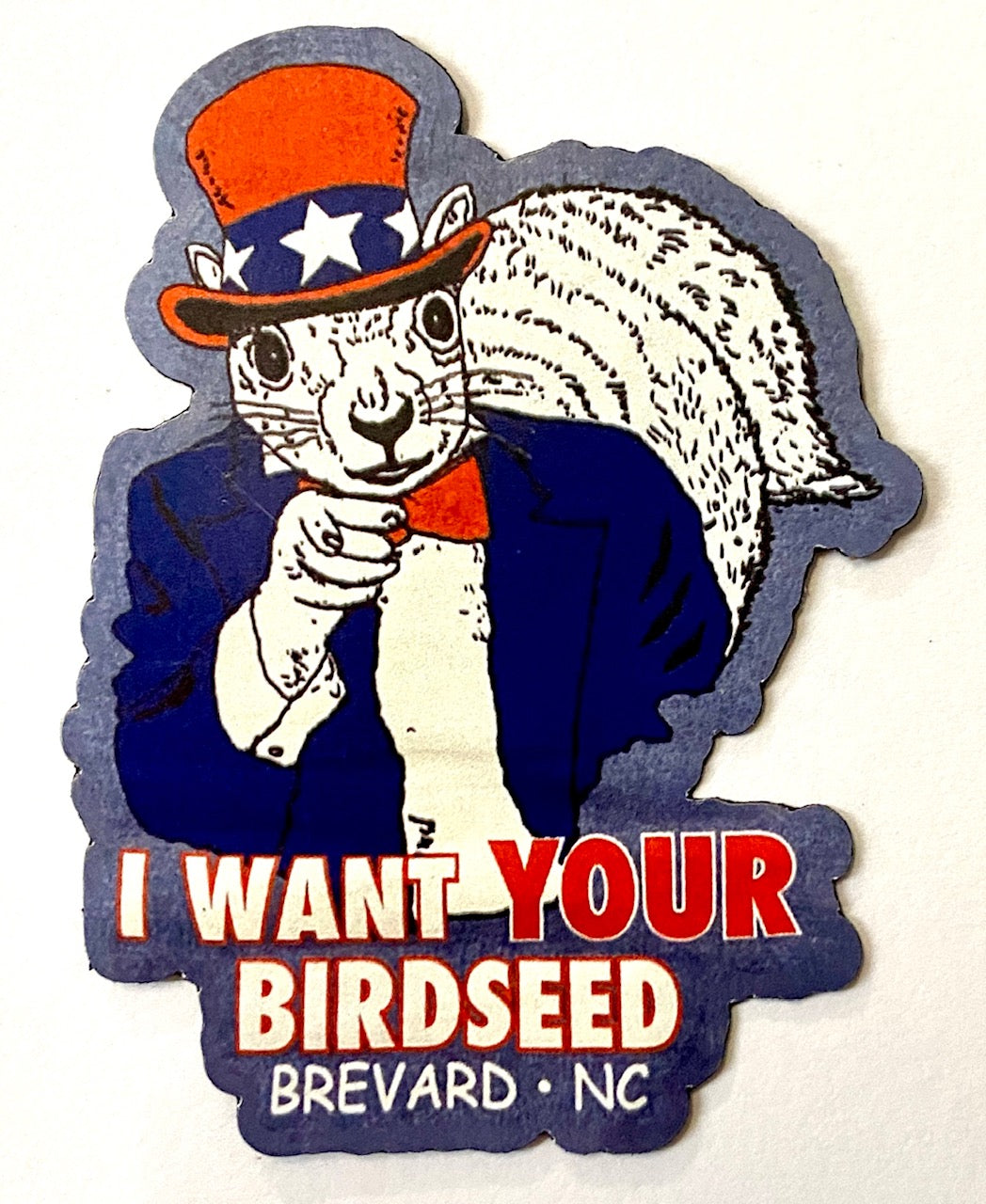 A die-cut mini magnet with a cartoon illustration of a white squirrel wearing a Uncle Sam hat, with text 'I WANT YOUR BIRDSEED' and 'BREVARD NC'.