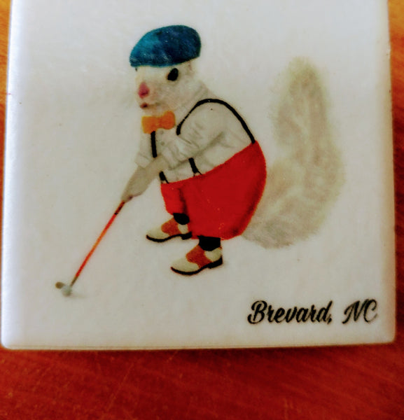 Magnet - Tile White Squirrel Sports & Hobby Enthusiasts