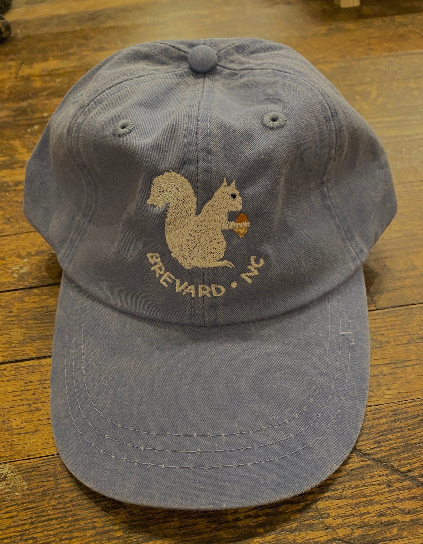 White Squirrel embroidered baseball cap from Brevard NC in light blue color