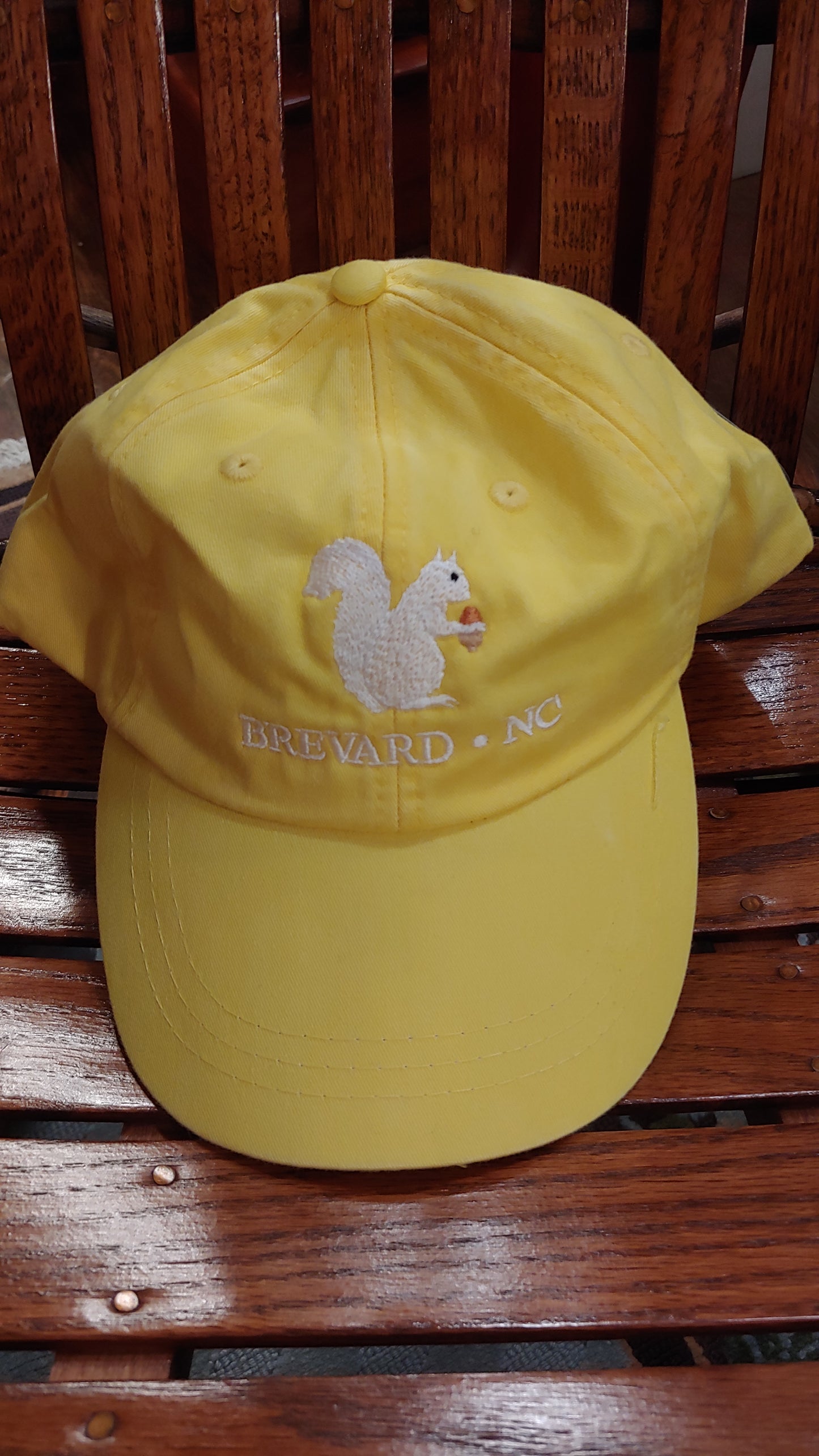 White Squirrel embroidered baseball cap from Brevard NC in sunshine yellow color