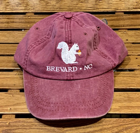 White Squirrel embroidered baseball cap from Brevard NC in red color