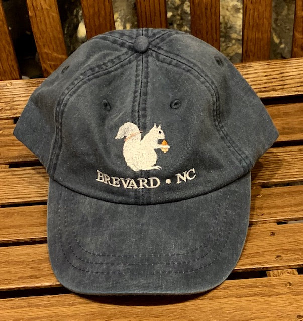 White Squirrel embroidered baseball cap from Brevard NC in grey color