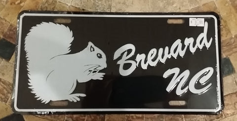 License Plate - Custom-made with our White Squirrel and "Brevard, NC"