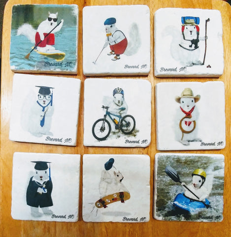 Coasters - Tile - White Squirrel Sport and Hobby Enthusiasts