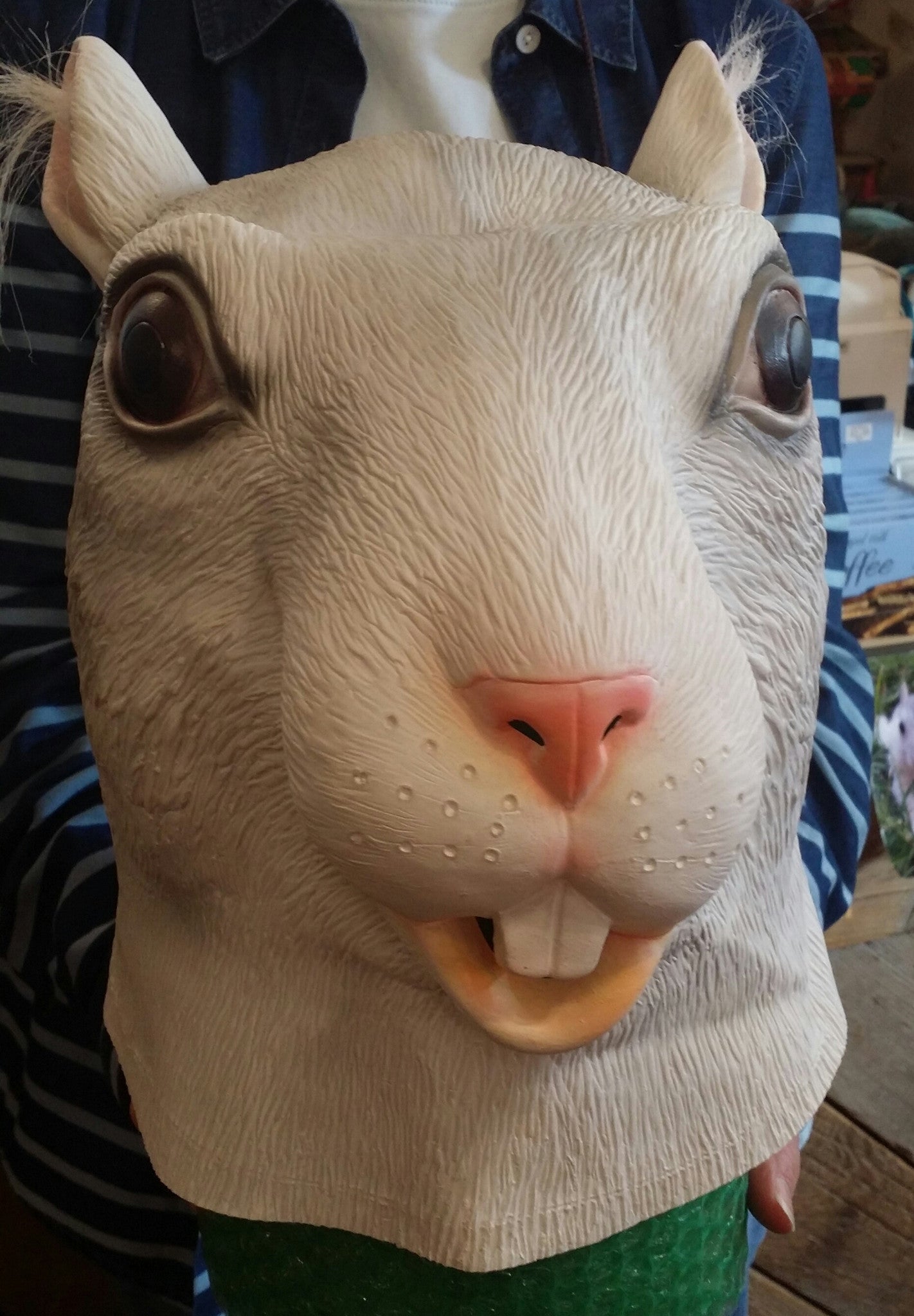 Mask - Full Head Mask - Latex White Squirrel