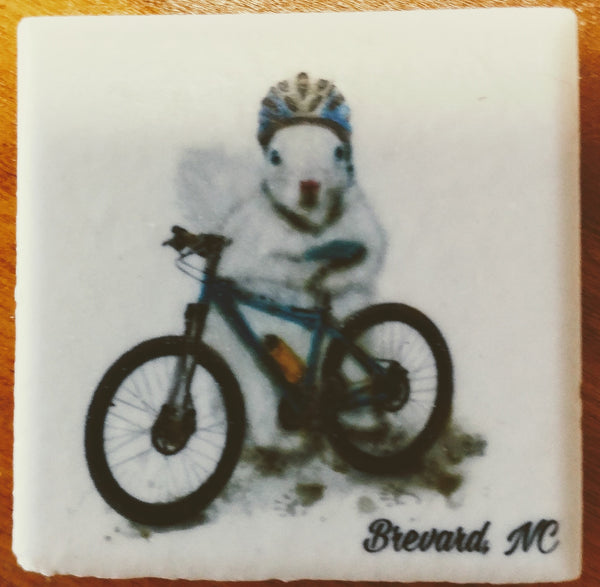Magnet - Tile - White Squirrel Sports & Hobby Enthusiasts