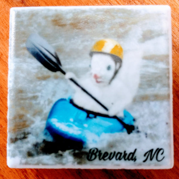 Magnet - Tile White Squirrel Sports & Hobby Enthusiasts