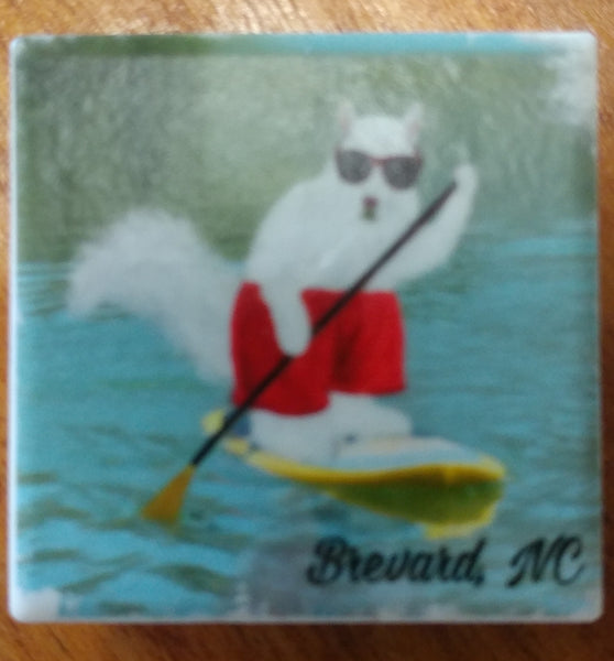 Magnet - Tile - White Squirrel Sports & Hobby Enthusiasts