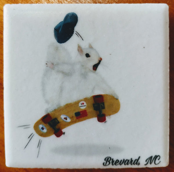 Magnet - Tile White Squirrel Sports & Hobby Enthusiasts