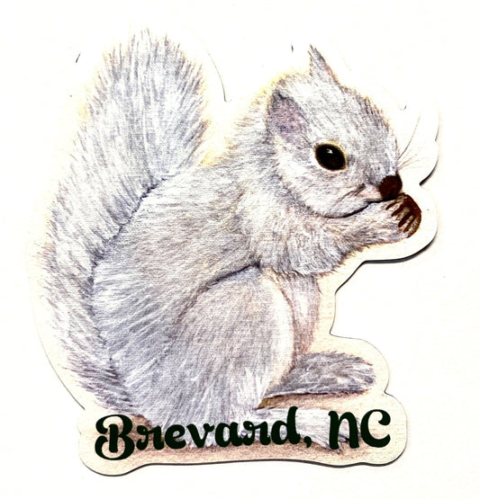 A die-cut magnet featuring a painted white squirrel with the text 'Brevard, NC' on the bottom.