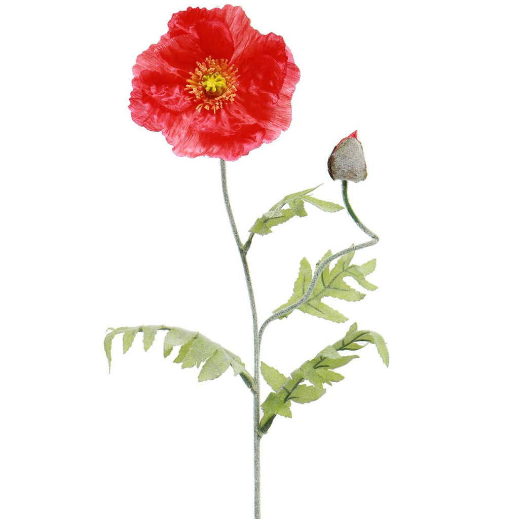 Stem - Poppy -Elegant Ruffled Blossom in Orange or Red #