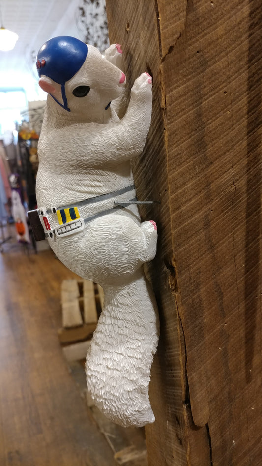 A white squirrel resin figurine designed to look like a rock climber, positioned on a vertical surface.