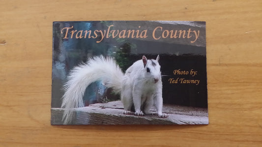 A white squirrel magnet with a photo titled 'Transylvania County' by Ted Tawney.
