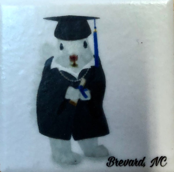 Magnet - Tile - White Squirrel Sports & Hobby Enthusiasts